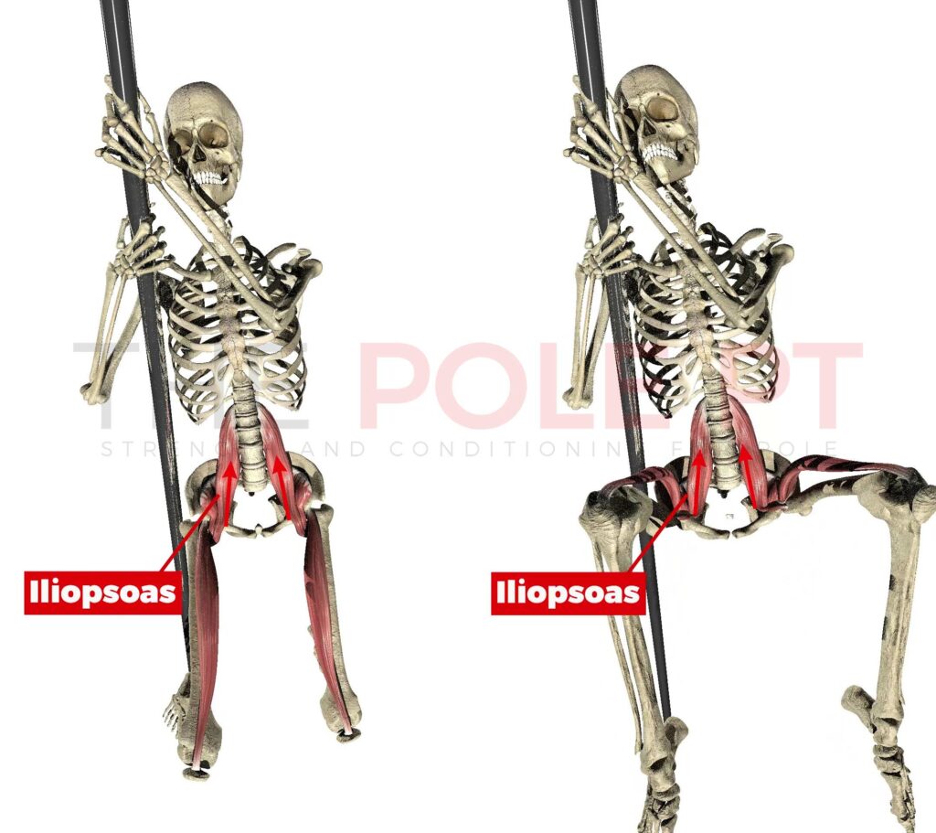 Hip flexors in pole invert